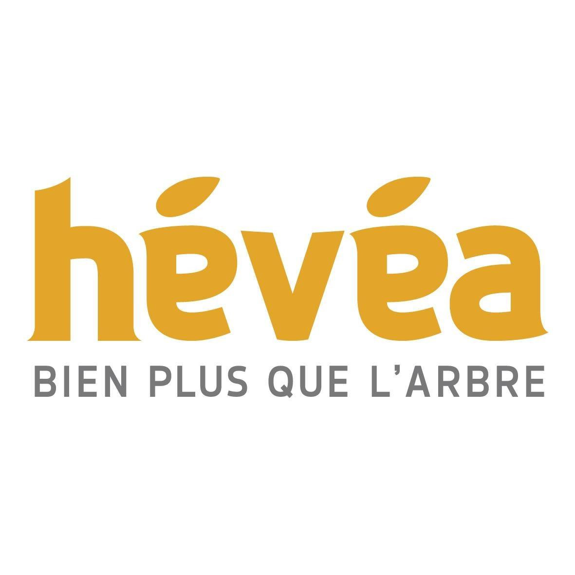 HEVEA MAUREPAS